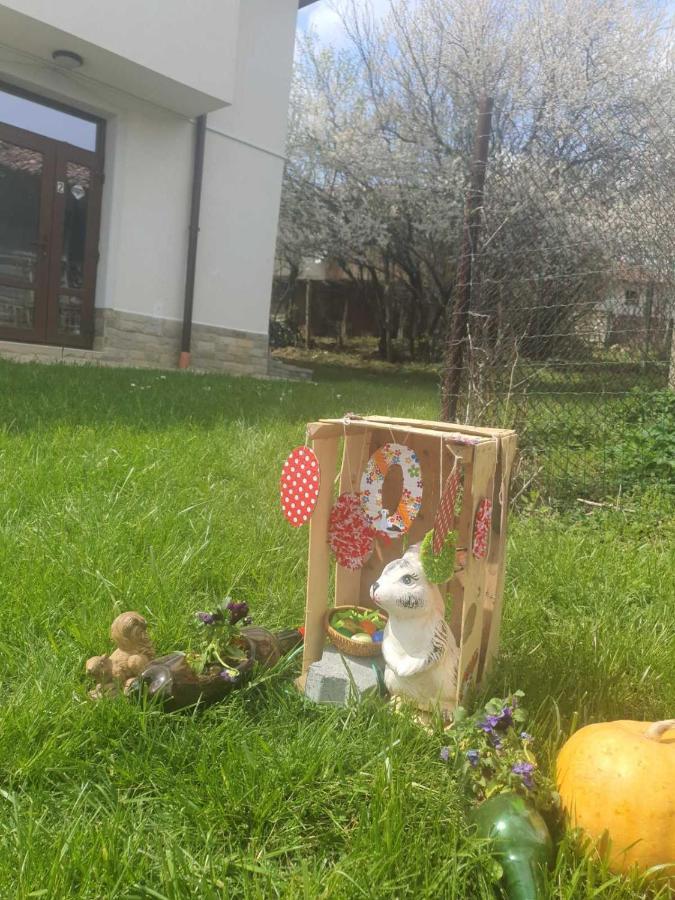 Бадевски Рай- Къща София Veliko Tŭrnovo Eksteriør bilde